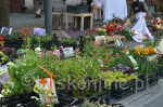 DSC_0282.jpg