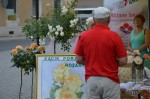 Nazwa pliku=DSC_0309.jpg
Rozmiar=113KB
Rozmiar=800x531
Data dodania=03 lipca 2016 DSC_0309.jpg