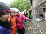 Nazwa pliku=zoo_1.jpg
Rozmiar=113KB
Rozmiar=800x600
Data dodania=19 października 2016 zoo_1.jpg