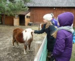 Nazwa pliku=zoo_3.jpg
Rozmiar=117KB
Rozmiar=726x586
Data dodania=19 października 2016 zoo_3.jpg