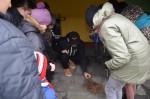 Nazwa pliku=dsc_0349.jpg
Rozmiar=97KB
Rozmiar=800x530
Data dodania=20 lutego 2016 dsc_0349.jpg