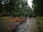 Nazwa pliku=6f256db8e1d58431beb6a1e7cedea1d4.jpg
Rozmiar=99KB
Rozmiar=720x540
Data dodania=10 sierpnia 2017 6f256db8e1d58431beb6a1e7cedea1d4.jpg