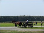 Nazwa pliku=img_8782.jpg
Rozmiar=126KB
Rozmiar=800x600
Data dodania=09 września 2017 img_8782.jpg