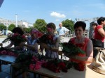 Nazwa pliku=82.jpg
Rozmiar=114KB
Rozmiar=800x600
Data dodania=07 lipca 2014 82.jpg