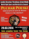 puchar_polski.jpg