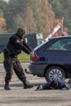 Nazwa pliku=3300.jpg
Rozmiar=136KB
Rozmiar=350x525
Data dodania=14 października 2013 3300.jpg